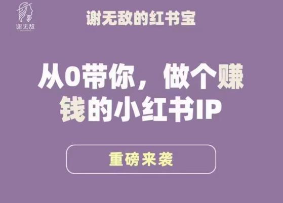 谢无敌·小红书运营大宝典，从0带你做个赚钱的小红书IP-铭创资源库