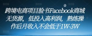 跨境电商项目脸书Facebook商城无货源,低投入高利润,熟练操作后月收入不会低于1W-3W-铭创资源库