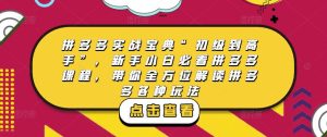 拼多多实战宝典“初级到高手”,新手小白必看拼多多课程,带你全方位解读拼多多各种玩法-铭创资源库