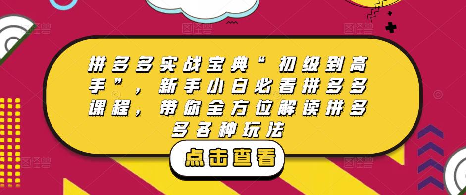 拼多多实战宝典“初级到高手”，新手小白必看拼多多课程，带你全方位解读拼多多各种玩法-铭创资源库