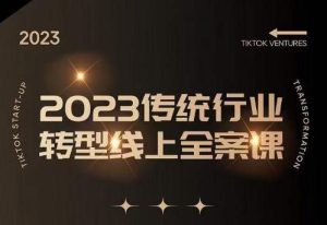 数据哥2023传统行业转型线上全案课,2023年传统行业如何转型线上,线上创业/传统转型避坑宝典-铭创资源库