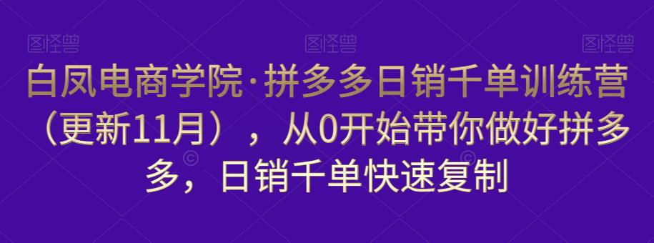 白凤电商学院·拼多多日销千单训练营，从0开始带你做好拼多多，日销千单快速复制（更新知2023年3月）-铭创资源库
