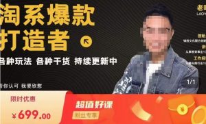 锋投老叶全店动销,淘系干货汇总,各种玩法,淘系爆款打造者-铭创资源库