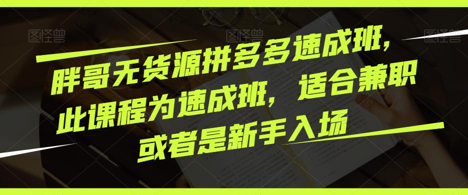 胖哥无货源拼多多速成班，此课程为速成班，适合兼职或者是新手入场-铭创资源库