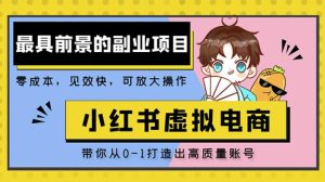 小红书蓝海大市场虚拟电商项目,手把手带你打造出日赚2000+高质量红薯账号-铭创资源库