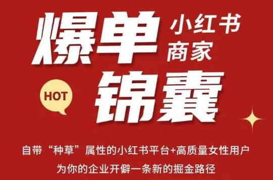 无畏·小红书商家爆单锦囊，掌握小红书各大规则，快速精准抢占行业和市场-铭创资源库