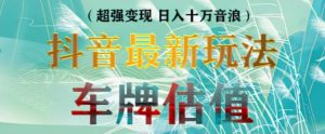 抖音最新无人直播变现直播车牌估值玩法项目,轻松日赚几百+【详细玩法教程】-铭创资源库