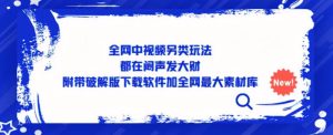 全网中视频另类玩法,都在闷声发大财,附带破解版下载软件加全网最大素材库-铭创资源库