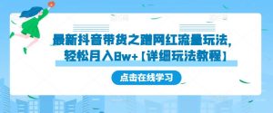 最新抖音带货之蹭网红流量玩法,轻松月入8w+【详细玩法教程】-铭创资源库