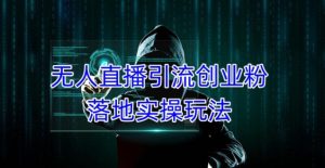 外面收费3980的无人直播引流创业粉落地实操玩法，单日引100+精准创业粉-铭创资源库