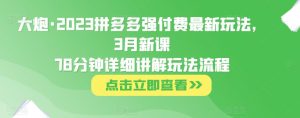 大炮·2023拼多多强付费最新玩法,3月新课78分钟详细讲解玩法流程-铭创资源库
