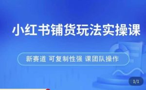 小红书铺货玩法实操课,流量大,竞争小,非常好做,新赛道,可复制性强,可团队操作-铭创资源库