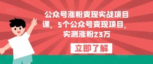 公众号涨粉变现实战项目课,5个公众号变现项目,实测涨粉23万-铭创资源库