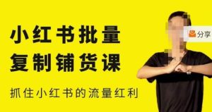 张宾·小红书批量复制铺货课,小红书0-1快速起号变现玩法,抓住小红书的流量红利(更新2023年3月)-铭创资源库