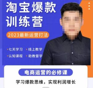 爱上黄昏·淘宝爆款训练营,2023最新运营打法,学习爆款思维,实现利润增长-铭创资源库