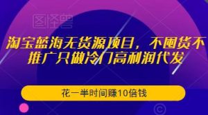 淘宝蓝海无货源项目,不囤货不推广只做冷门高利润代发,花一半时间赚10倍钱-铭创资源库