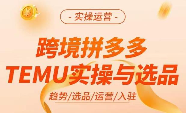 跨境拼多多TEMU实操与选品，​掌握平台运营方法技巧，选品避坑12条标准，爆款的底层思路等-铭创资源库