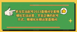 老马实战起号2023直播间全套精细化实战运营，学会正确的起号方式，精细化长期运营直播间-铭创资源库