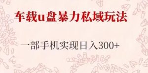 车载u盘暴力私域玩法，长期项目，仅需一部手机实现日入300+-铭创资源库