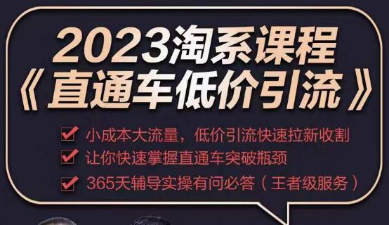 2023直通车低价引流玩法课程，小成本大流量，低价引流快速拉新收割，让你快速掌握直通车突破瓶颈-铭创资源库