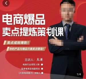 大圣·电商标品爆款卖点策划课,标品卖点成就爆款,可落地卖点提炼课-铭创资源库