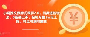 小说推文保姆式教学2.0，另类进阶玩法，0基础上手，轻松月撸1w无上限，可主可副可兼职-铭创资源库