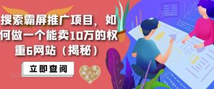 搜索霸屏推广项目,如何做一个能卖10万的权重6网站(揭秘)-铭创资源库