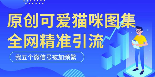 黑科技纯原创可爱猫咪图片，全网精准引流，实操5个VX号被加频繁-铭创资源库