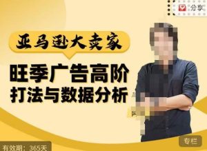 阿甘·亚马逊大卖家广告高阶打法与数据分析,走出传统广告误区;揭秘大卖惯用打法;数据驱动广告决策-铭创资源库