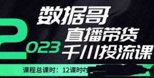 数据哥2023直播电商巨量千川付费投流实操课,快速掌握直播带货运营投放策略-铭创资源库