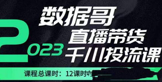 数据哥2023直播电商巨量千川付费投流实操课，快速掌握直播带货运营投放策略-铭创资源库