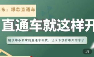 冠东·淘系直通车保姆级教程,全面讲解直通车就那么简单-铭创资源库