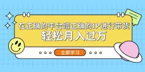 在正确的平台蹭正确的IP进行带货,轻松月入过万-铭创资源库