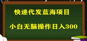 2023最新蓝海快递代发项目,小白零成本照抄也能日入300+-铭创资源库