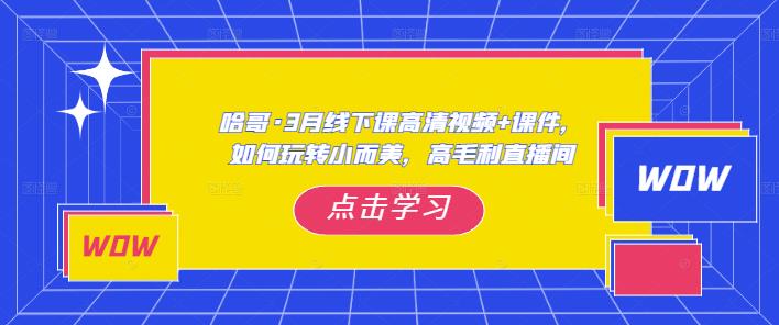 哈哥·3月线下实操课高清视频+课件，如何玩转小而美，高毛利直播间-铭创资源库