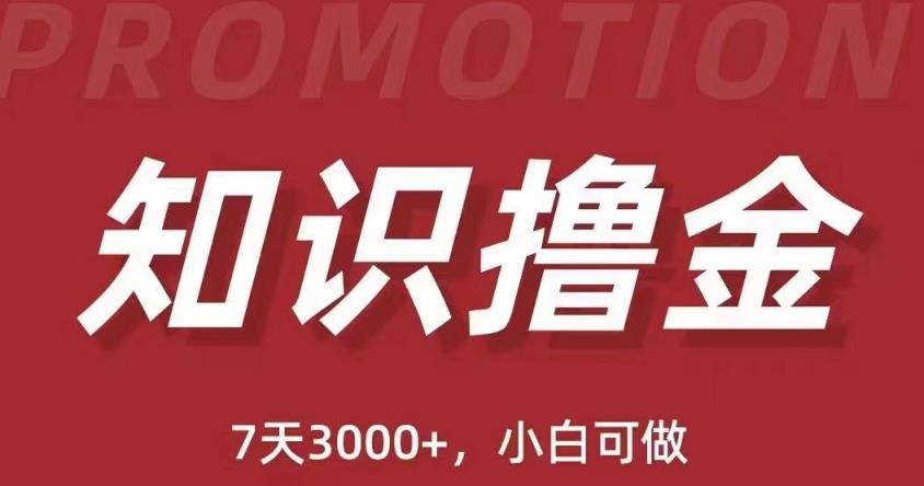 抖音知识撸金项目：简单粗暴日入1000+执行力强当天见收益(教程+资料)-铭创资源库