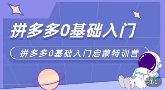 拼多多运营0-1实操特训营，拼多多0基础入门，从基础到进阶的可实操玩法-铭创资源库