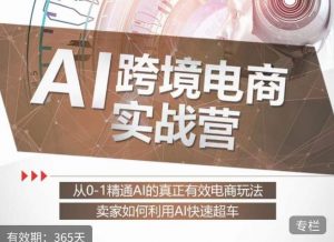 白龙老师·AI跨境电商实战营:从0-1精通Al的真正有效电商玩法,卖家如何利用Al快速超车-铭创资源库