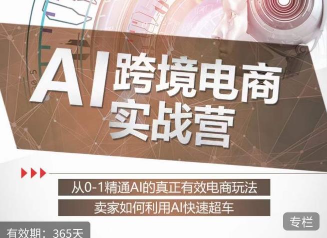 白龙老师·AI跨境电商实战营：从0-1精通Al的真正有效电商玩法，卖家如何利用Al快速超车-铭创资源库