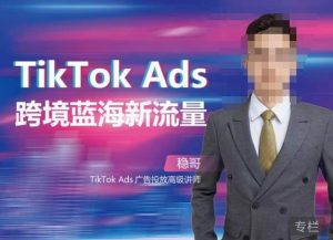 稳哥·如何投出高ROI的TikTok广告,开拓独立站卖家流量新蓝海-铭创资源库
