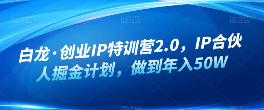 白龙·创业IP特训营2.0，IP合伙人掘金计划，做到年入50W-铭创资源库