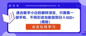 适合新手小白的搬砖项目,只需要一部手机、不用引流也能做到日入300+【揭秘】-铭创资源库