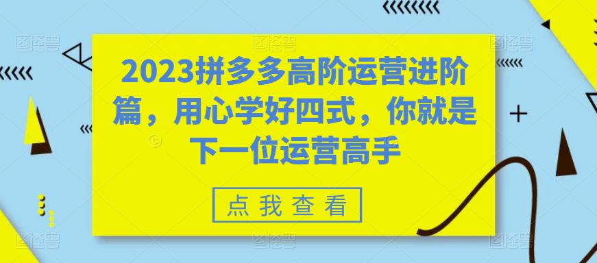 2023拼多多高阶运营进阶篇，用心学好四式，你就是下一位运营高手-铭创资源库