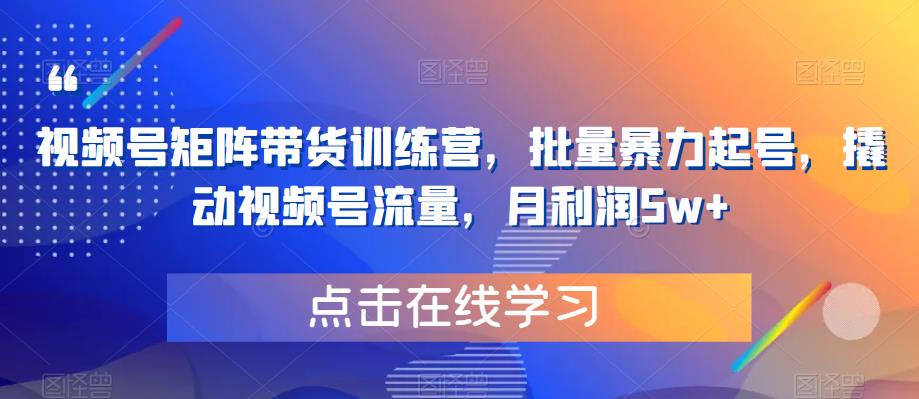 视频号矩阵带货训练营，批量暴力起号，撬动视频号流量，月利润5w+-铭创资源库