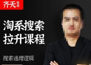 齐天电商·淘系搜索提升课程，​搜索递增标准化，动销标准化流程-铭创资源库