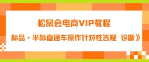 松鼠会电商VIP教程：松鼠《付费推广标品·半标直通车操作针对性答疑&诊断》-铭创资源库