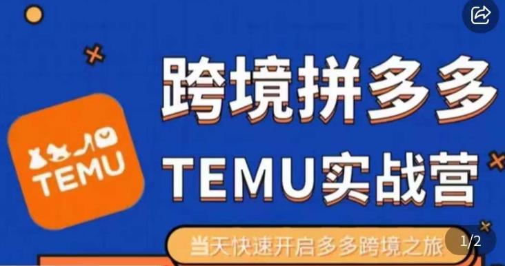 大鹏出海·拼多多跨境temu运营指导，开店注册+选品+核价上架，日出千单实战课-铭创资源库