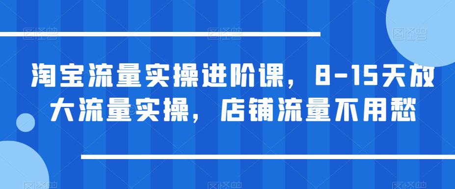 淘宝流量实操进阶课，8-15天放大流量实操，店铺流量不用愁-铭创资源库