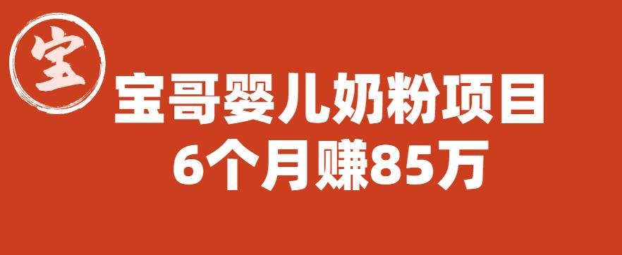 宝哥婴儿奶粉项目，6个月赚85w【图文非视频】【揭秘】-铭创资源库
