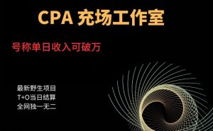cpa充场工作室,号称单日收入10000+(揭秘)-铭创资源库